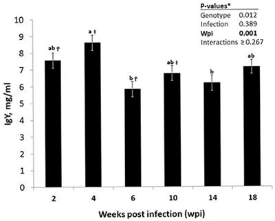 Impact of Nematode Infections on Non-specific and Vaccine-Induced Humoral Immunity in Dual-Purpose or Layer-Type Chicken Genotypes